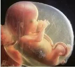 再也不用往返跑省城了，感謝醫(yī)生助我懷上了寶寶~~