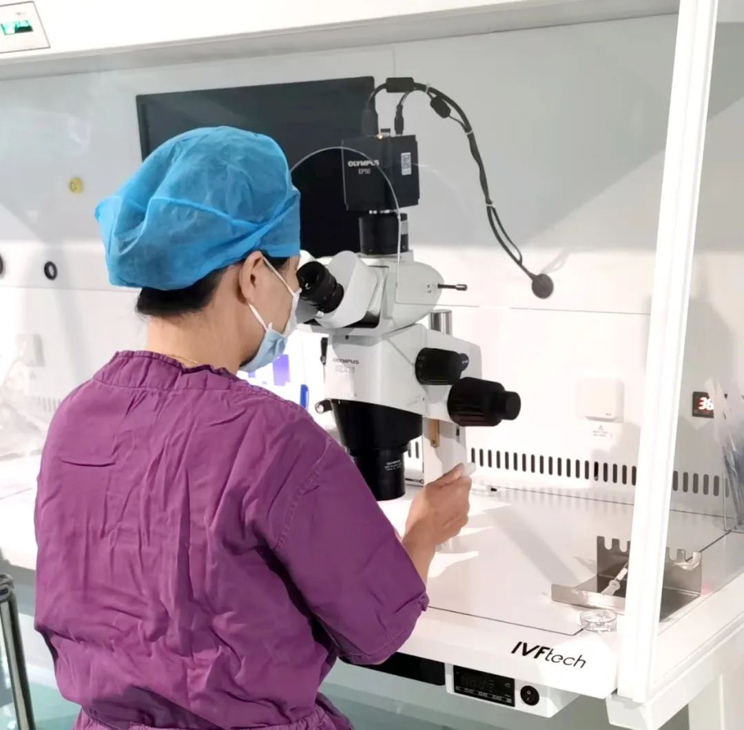 【喜訊】保山首例無精子癥通過試管嬰兒技術(shù)助孕成功！